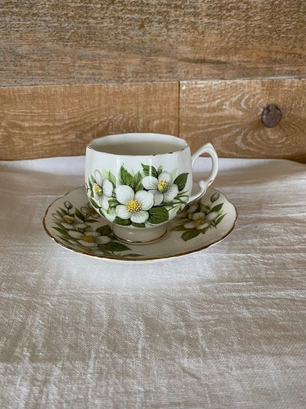 Colclough bone china tea cup and saucer set