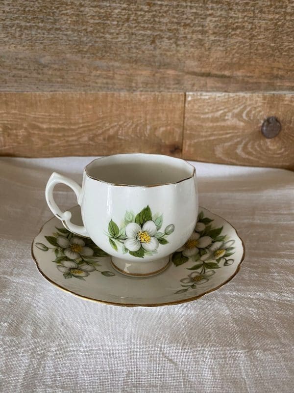 Colclough bone china tea cup and saucer set straight on view