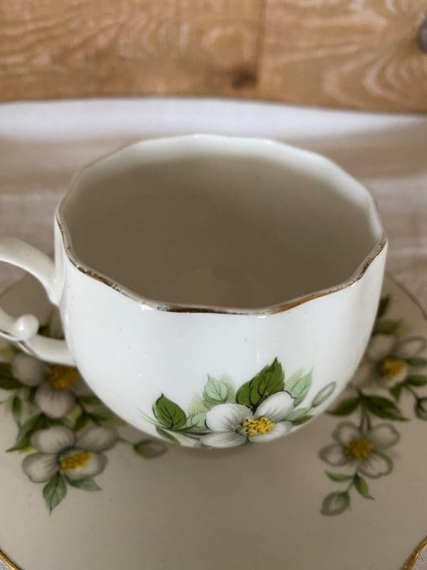 Colclough bone china tea cup and saucer set closeup