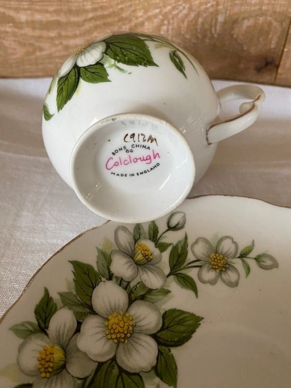 Colclough bone china tea cup and saucer set showing the Colclough mark on bottom of tea cup