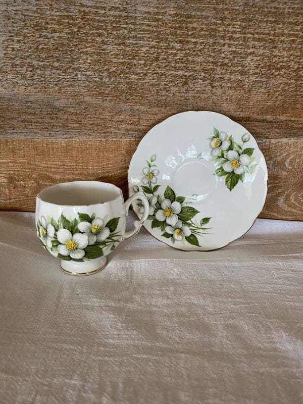 Colclough bone china tea cup and saucer set plate against wall showing orange blossom detail with tea cup