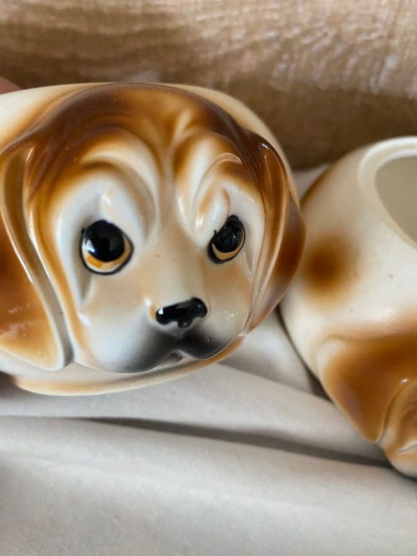 vintage jelly jars close of dogs face