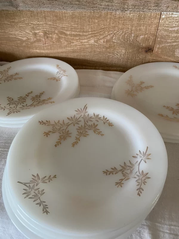 milk glass plates Federal Golden Glory set of ten front side of three of the plates showing the gold design