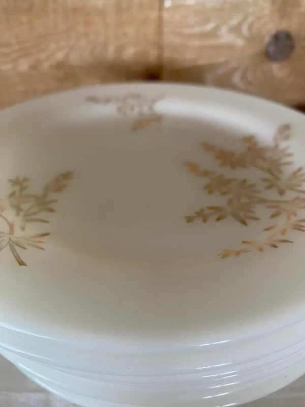 milk glass plates Federal Golden Glory set of ten edges