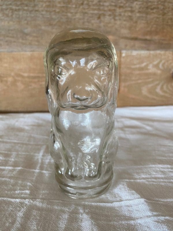 dog shape jar face front