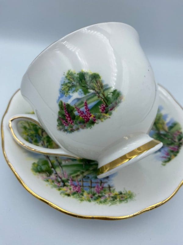 Colclough china tea cup and saucer on side on top of saucer