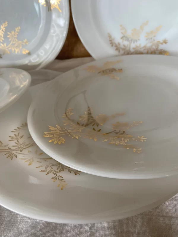 milk glass dinner plates Federal Golden Glory set of six close