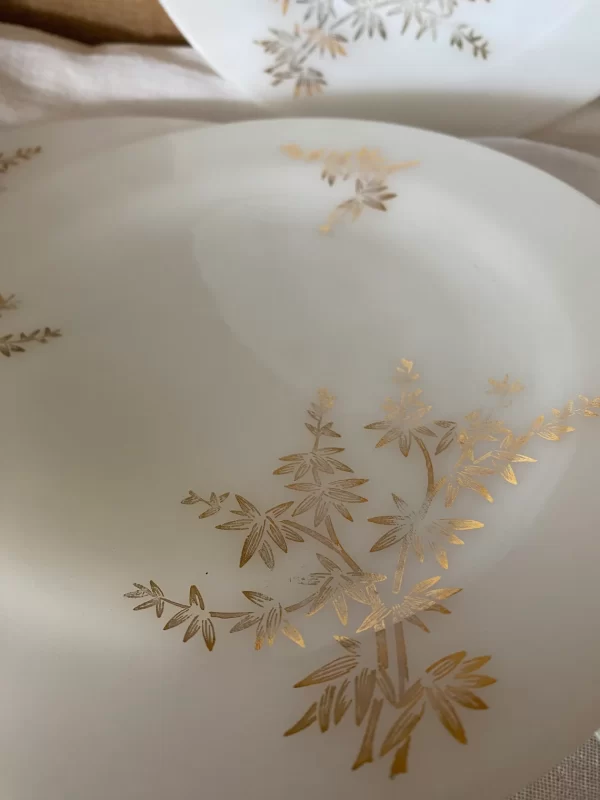 milk glass dinner plates Federal Golden Glory set of six close of gold leaf design