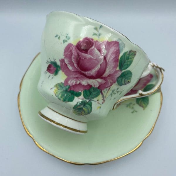 Paragon cabbage rose teacup mint green close pink rose