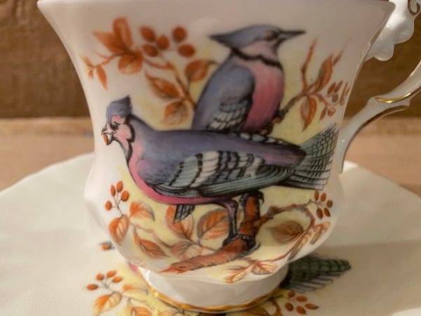 bird tea cup Queens Blue Jay pair