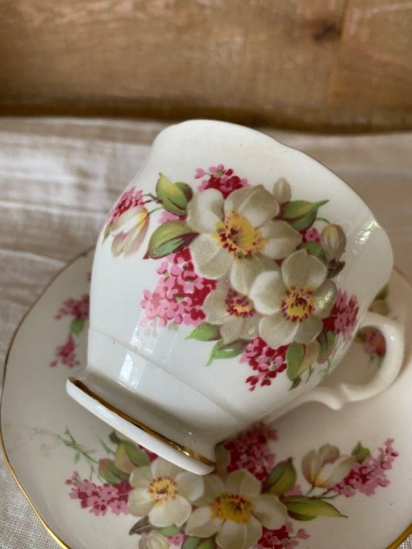 Salisbury bone china England teacup white with pink flowers