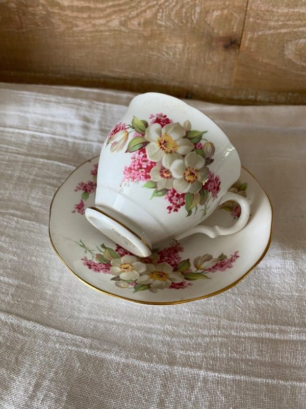 Salisbury bone china England teacup cup on side