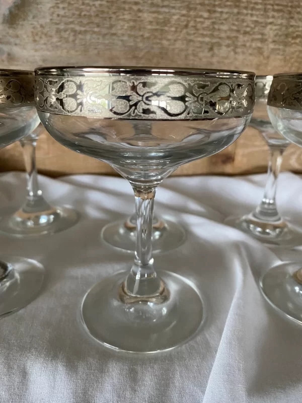 vintage margarita glasses fancy silver rimmed