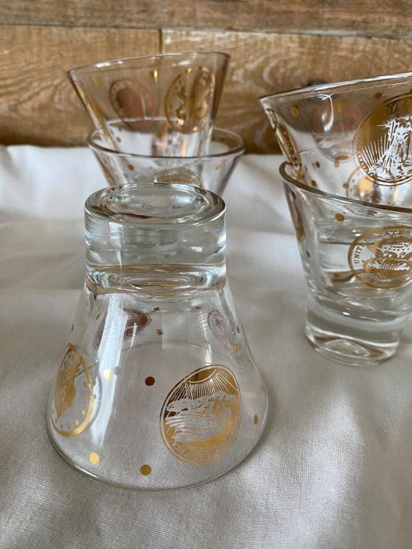 gold coin glasses set of five